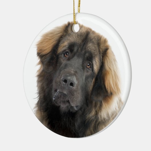 Leonberger Keramik Ornament (Links)