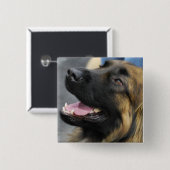 Leonberger Knopf Button (Vorne & Hinten)