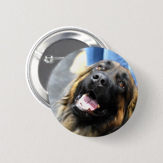 Leonberger Knöpfe Button (Vorne & Hinten)