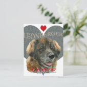 Leonberger Liebe Gift Ideas Postkarte (Stehend Vorderseite)