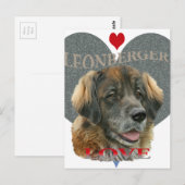Leonberger Liebe Gift Ideas Postkarte (Vorne/Hinten)