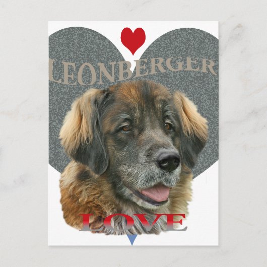 Leonberger Liebe Gift Ideas Postkarte (Vorderseite)
