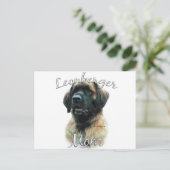 Leonberger Mama 2 Postkarte (Stehend Vorderseite)