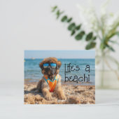 Leonberger Puppy mit einer Sonnenbrille Postkarte (Stehend Vorderseite)