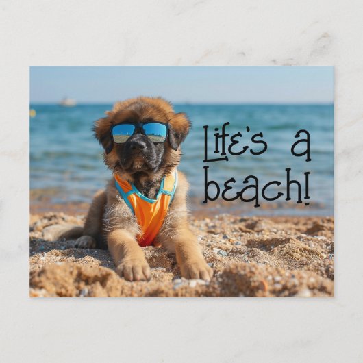 Leonberger Puppy mit einer Sonnenbrille Postkarte (Vorderseite)