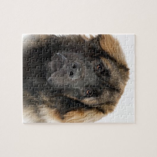 Leonberger Puzzle (Horizontal)