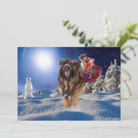 Leonberger rettet Weihnachten flache (Stehend Vorderseite)