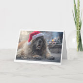 Leonberger Sankt Feiertagskarte (Vorderseite)