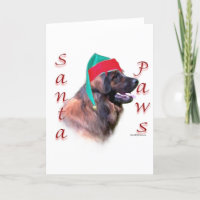 Leonberger Sankt Tatzen