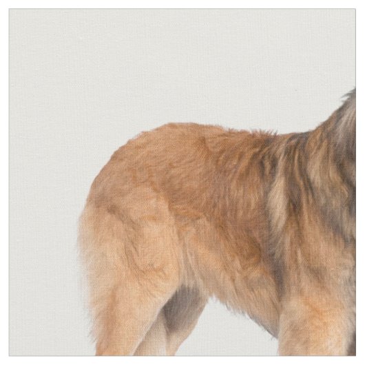 Leonberger Stoff (Nahaufnahme)