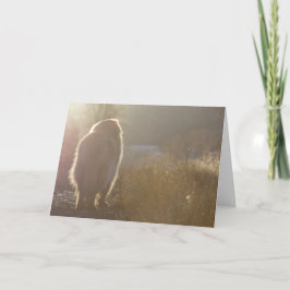 Leonberger Symapthy Karte