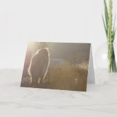 Leonberger Symapthy Karte (Vorderseite)