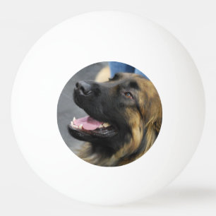 Leonberger Tischtennisball