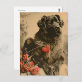 Leonberger Valentinstag Vintag Postkarte (Vorne/Hinten)