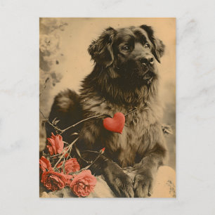 Leonberger Valentinstag Vintage  Postkarte