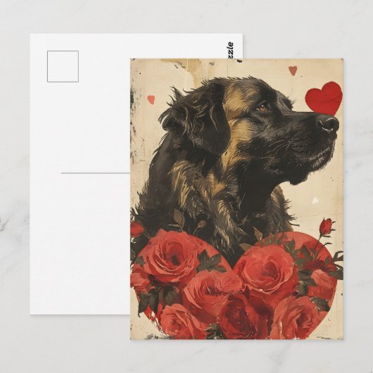 Leonberger Vintag Valentinstag Postkarte (Vorne/Hinten)