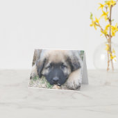 Leonberger Welpe freier Raum Notecard Karte (Gelbe Blume)