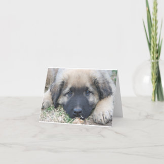 Leonberger Welpe freier Raum Notecard Karte