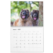 Leonbergers Kalender (Mär 2027)
