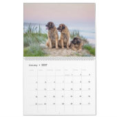 Leonbergers Kalender (Jan 2027)
