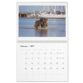 Leonbergers Kalender (Feb 2027)