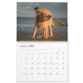 Leonbergers-Kalender - Stadt für Land Kalender (Jan 2026)