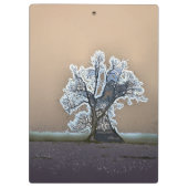 LEONENBAUM KLEMMBRETT (Rückseite)