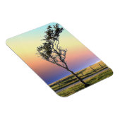 LEONENBAUM MAGNET (Rechte Seite)