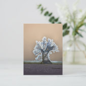 LEONENBAUM POSTKARTE (Stehend Vorderseite)