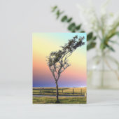 LEONENBAUM POSTKARTE (Stehend Vorderseite)