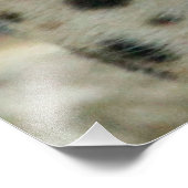 Leopard20151002 Fotodruck (Ecke)