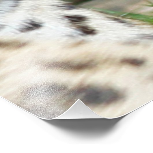 Leopard20151003 Fotodruck (Ecke)