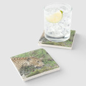 Leopard20151003 Steinuntersetzer (Seitenansicht)