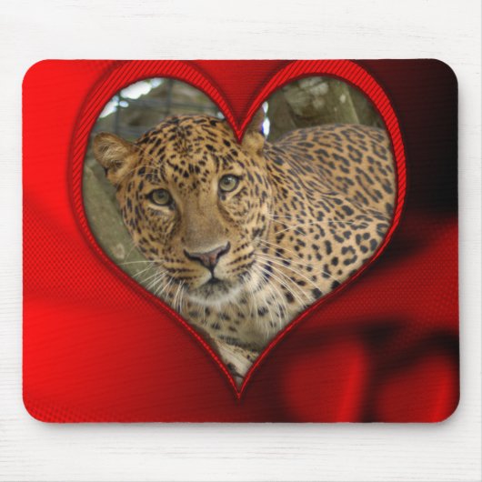 leopard-00124-85x85 mousepad (Vorne)