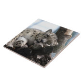 Leopard 002 fliese (Seite)