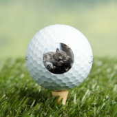 Leopard 002 golfball (Insitu T-Shirt)