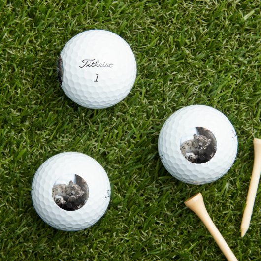 Leopard 002 golfball (Insitu Gras)
