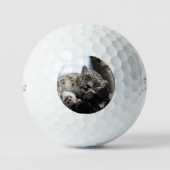 Leopard 002 golfball (Vorderseite)