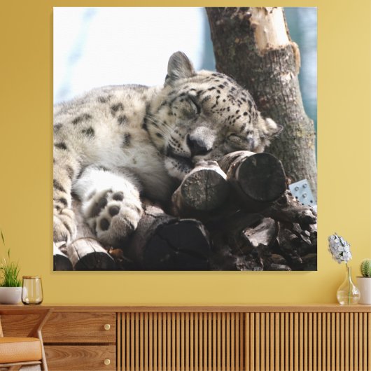 Leopard 002 leinwanddruck (Insitu (Wohnzimmer))