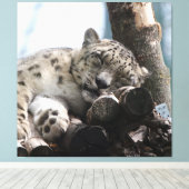 Leopard 002 leinwanddruck (Insitu (Holzboden))