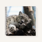 Leopard 002 notizblock (Vorderseite)