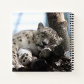 Leopard 002 notizblock (Rückseite)