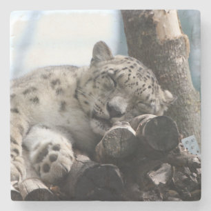 Leopard 002 steinuntersetzer