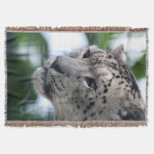 Leopard 003 decke (Vorderseite)