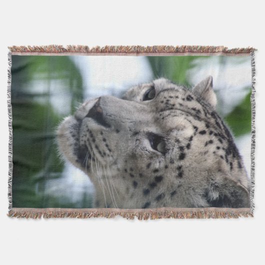 Leopard 003 decke (Vorderseite)