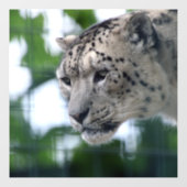 Leopard 003 fensteraufkleber (Blatt)