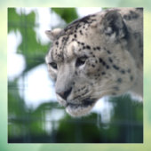 Leopard 003 fensteraufkleber (Blatt 3)