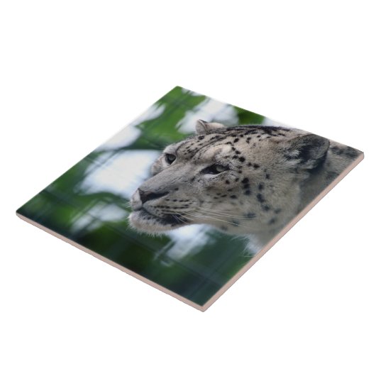 Leopard 003 fliese (Seite)