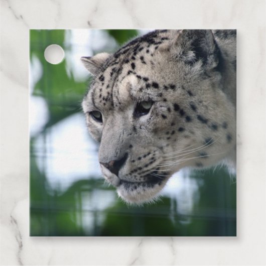 Leopard 003 geschenkanhänger (Vorderseite)