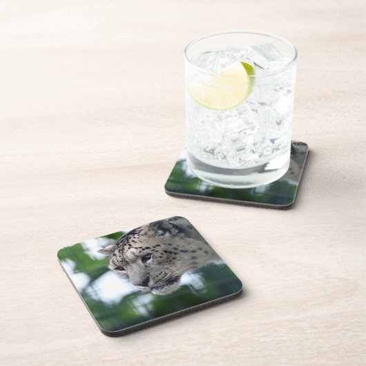 Leopard 003 getränkeuntersetzer (Rechte Seite)